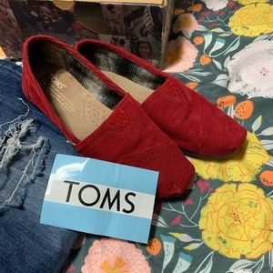 Toms original corduroy with box and sticker